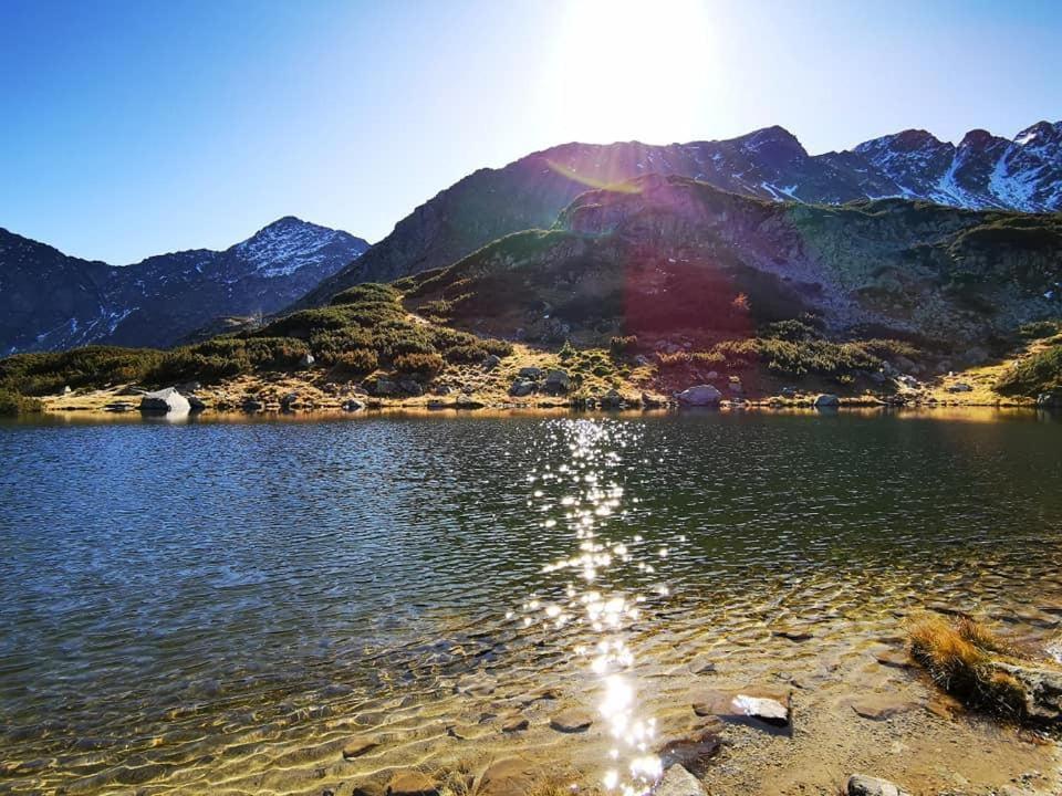 Chata Drevenica Габовка Екстер'єр фото