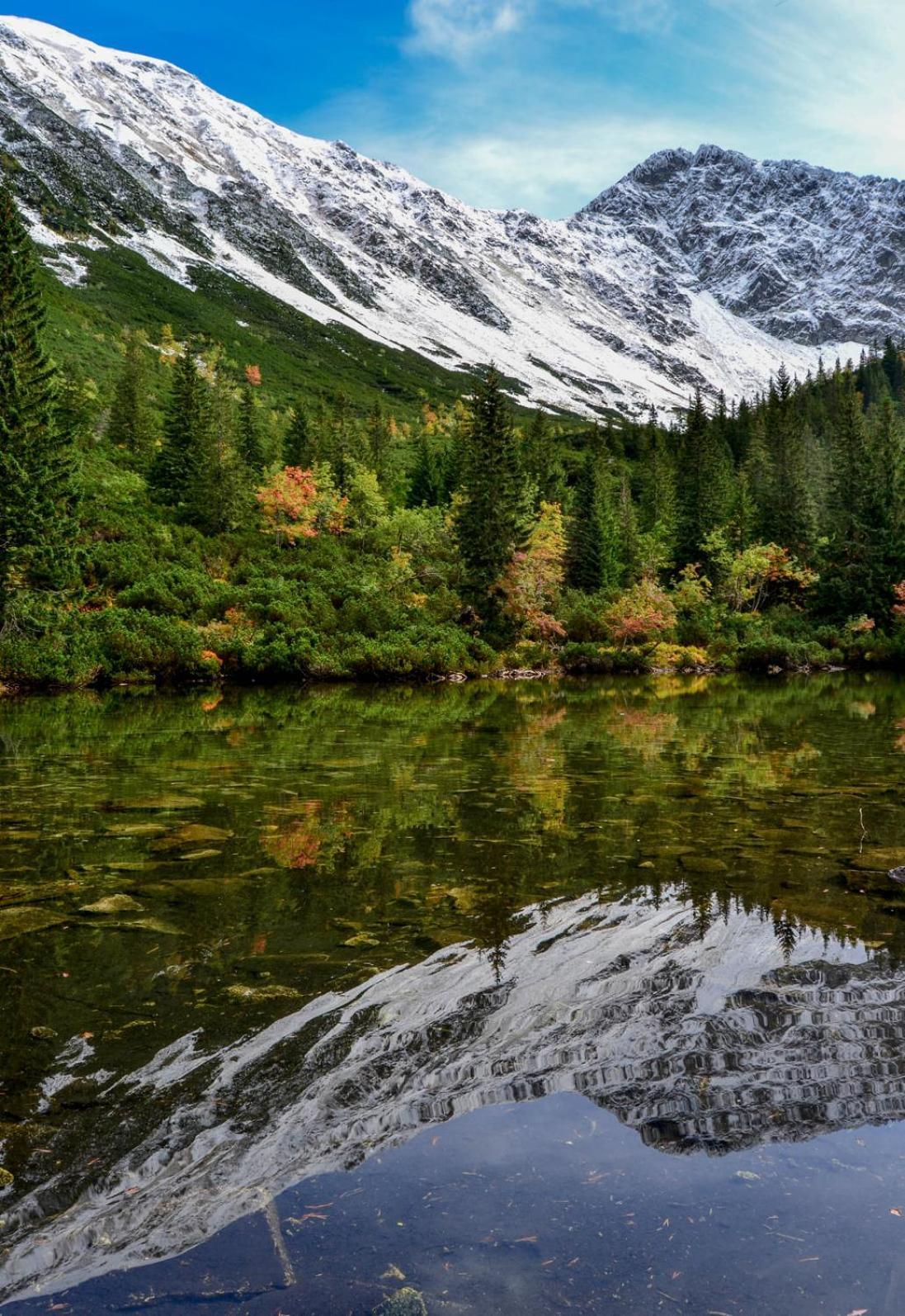 Chata Drevenica Габовка Екстер'єр фото