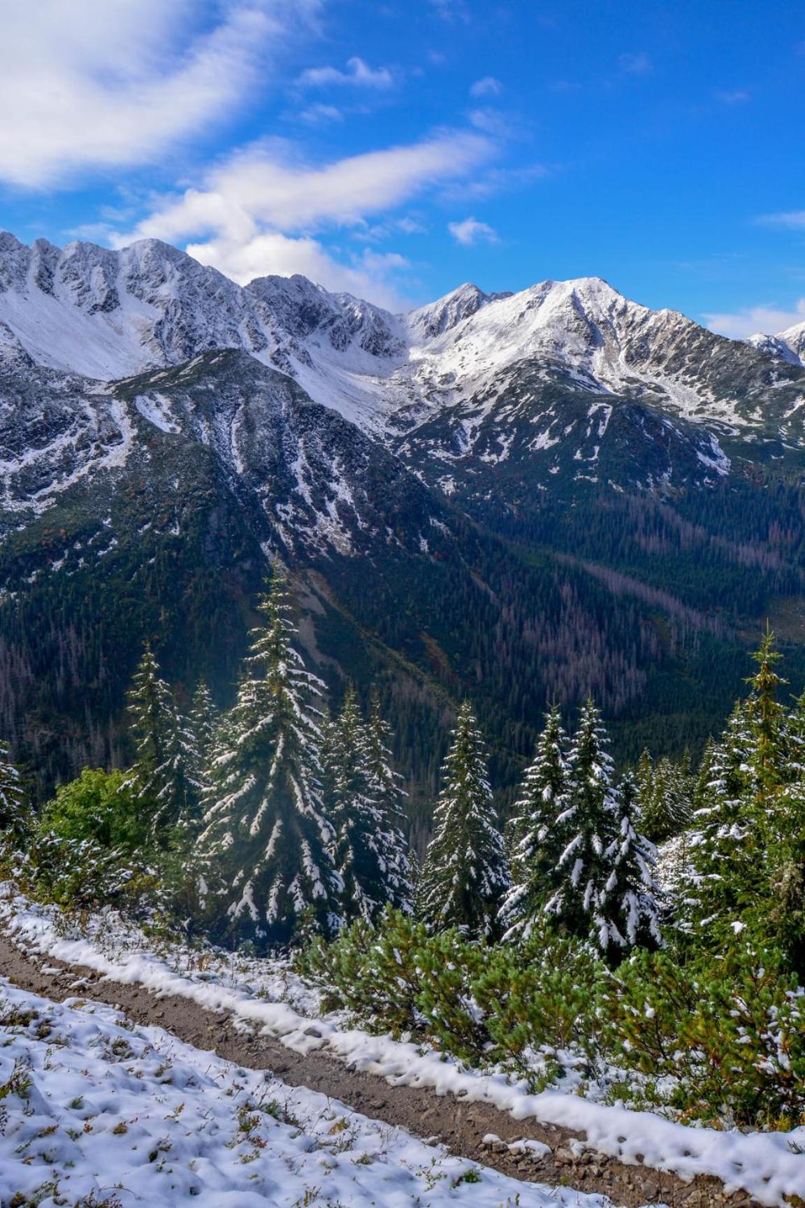 Chata Drevenica Габовка Екстер'єр фото