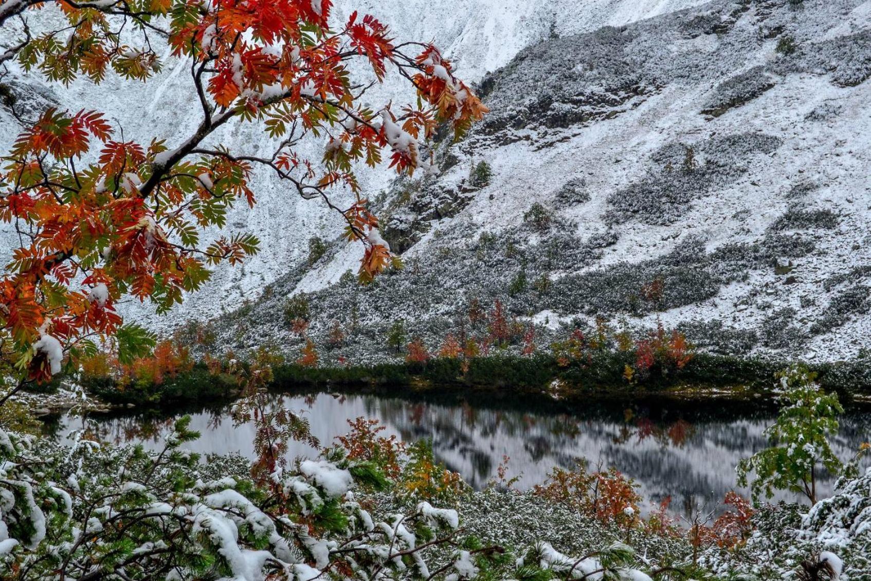 Chata Drevenica Габовка Екстер'єр фото